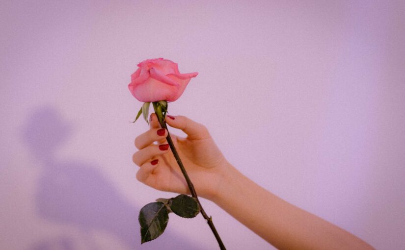 Captivating Rose Captions for Your Instagram Posts