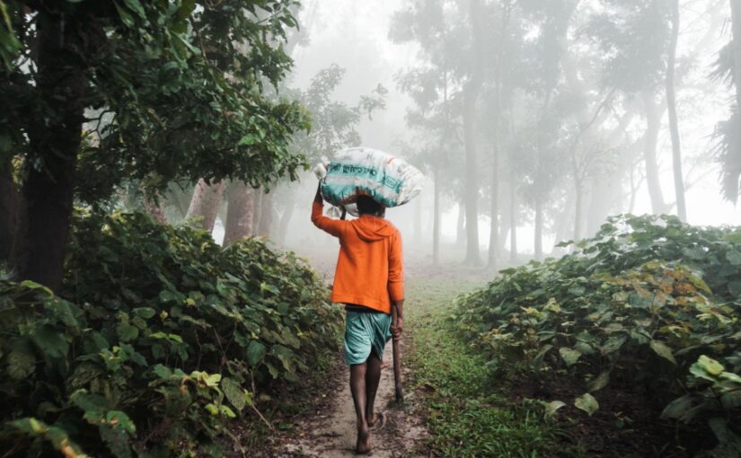 Instagram Captions For Nature