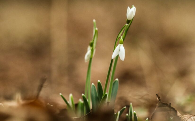 Seize The Day Instagram Captions