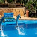 Animals are utilized in entertainment