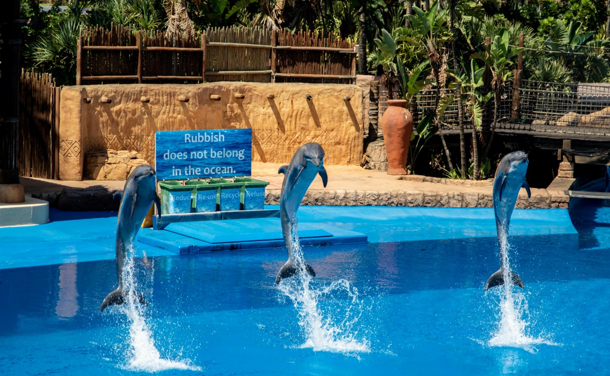 Animals are utilized in entertainment